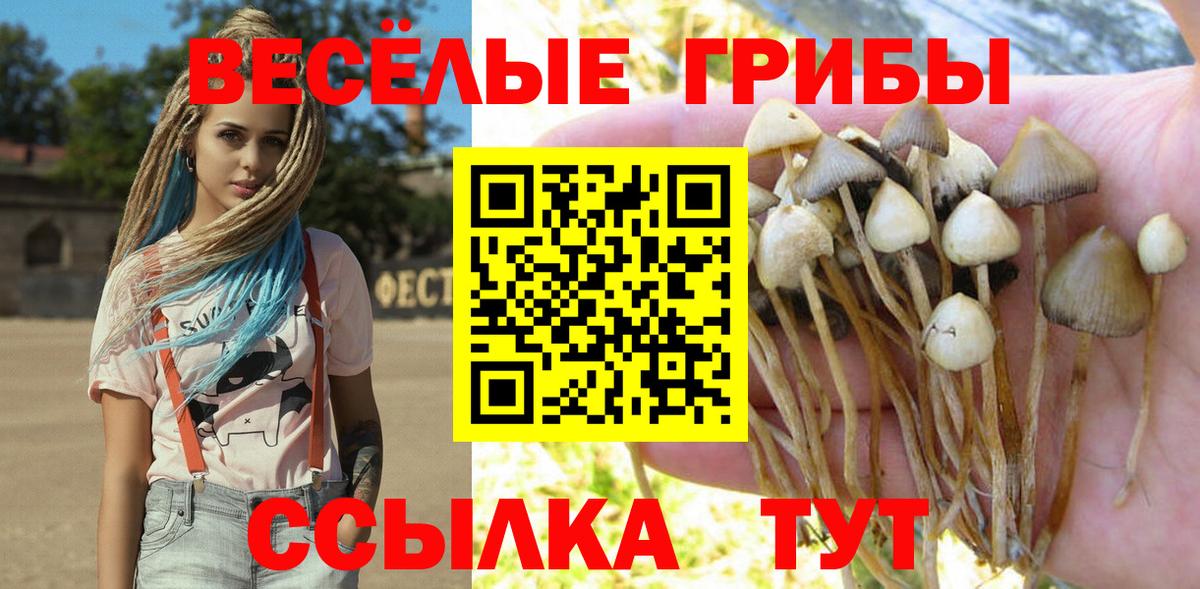 Саратов  Псилоцибиновые грибы Psilocybine cubensis  Вход с VPN 