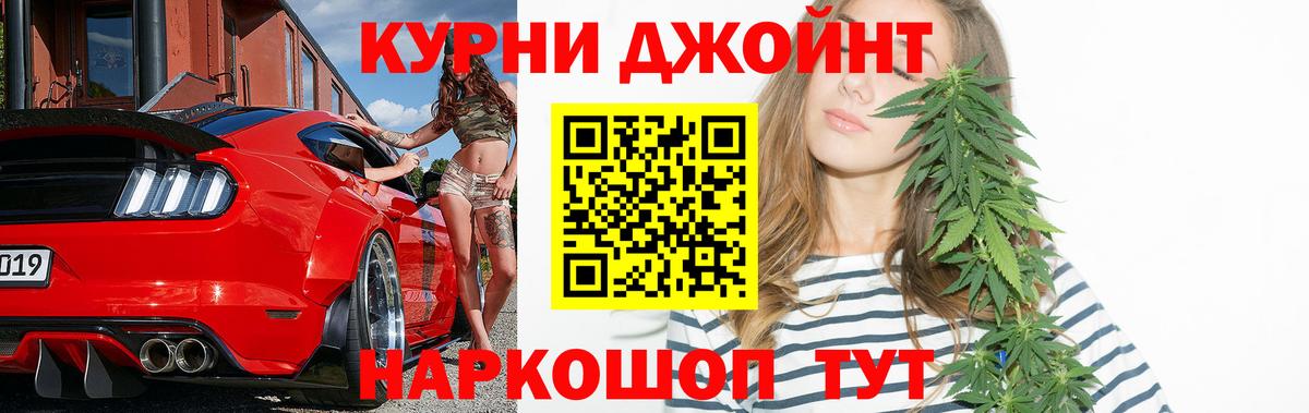 Канабис сатива Саратов